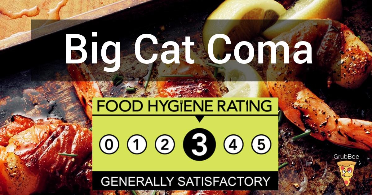 Big Cat  Coma in Warwick  Food Hygiene Rating